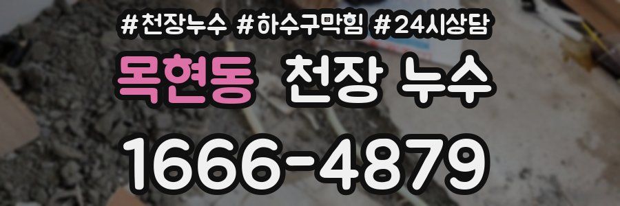 목현동 천장 누수