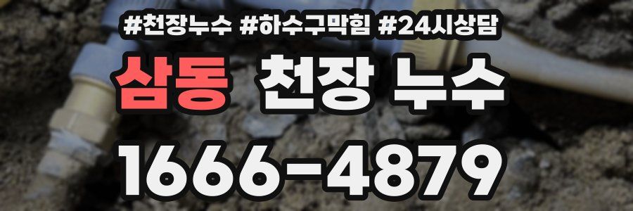 삼동 천장 누수