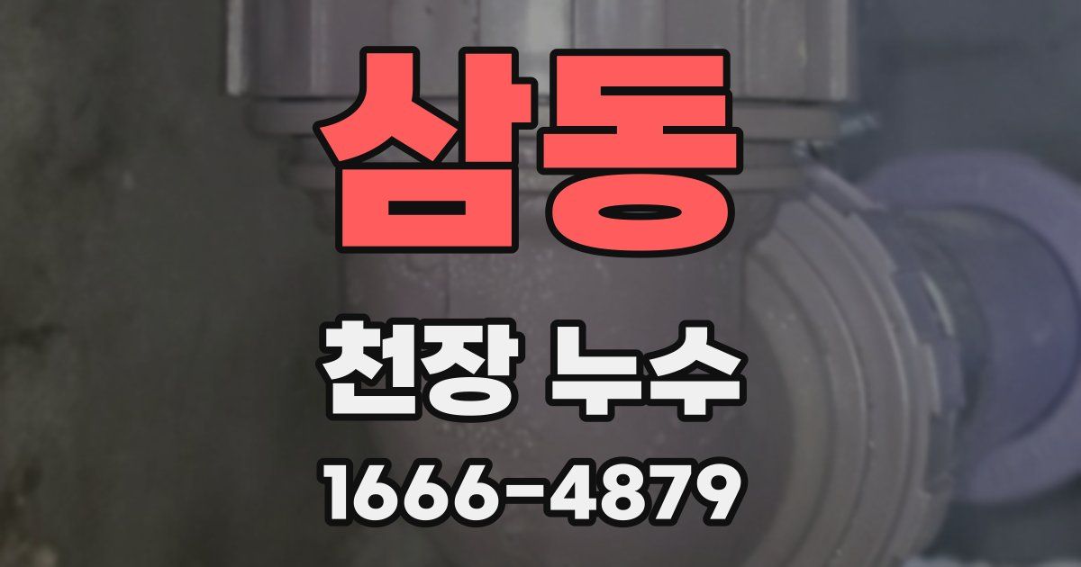 삼동 천장 누수