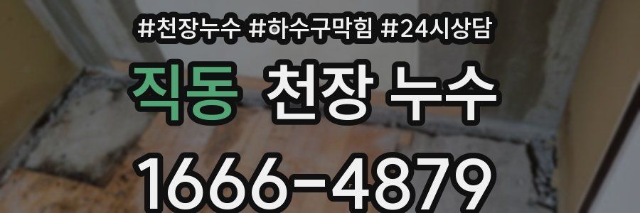 직동 천장 누수