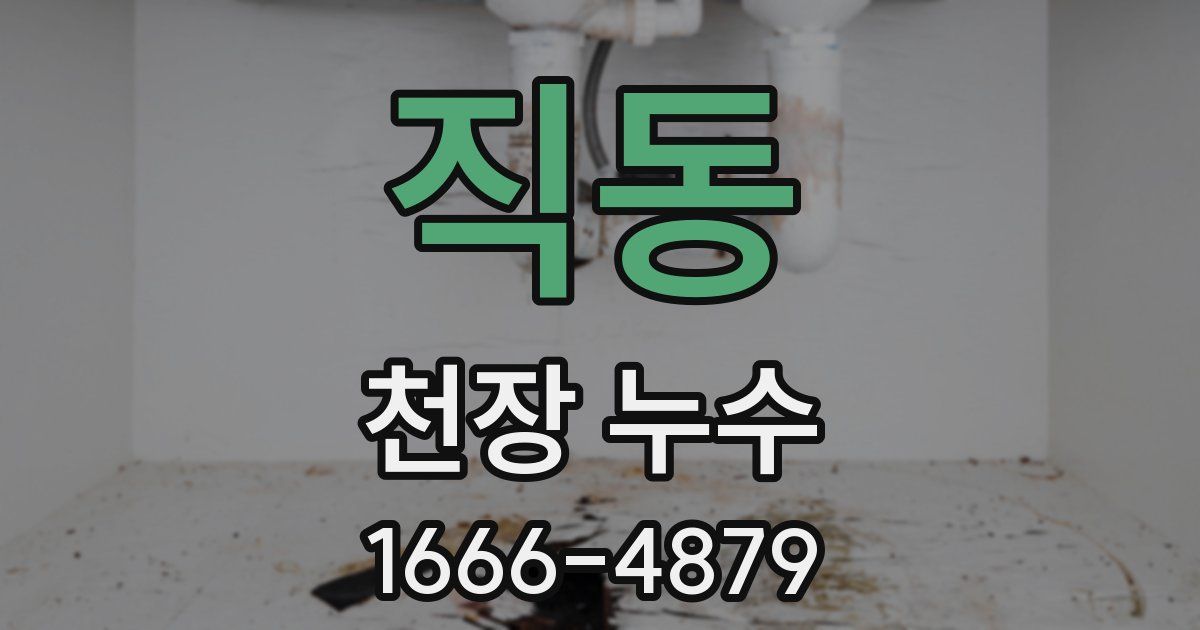 직동 천장 누수