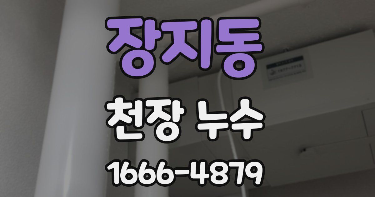 장지동 천장 누수