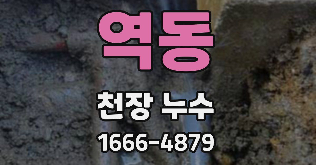 역동 천장 누수