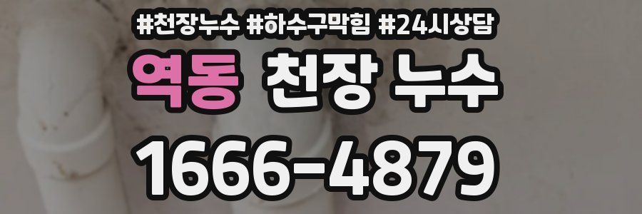 역동 천장 누수