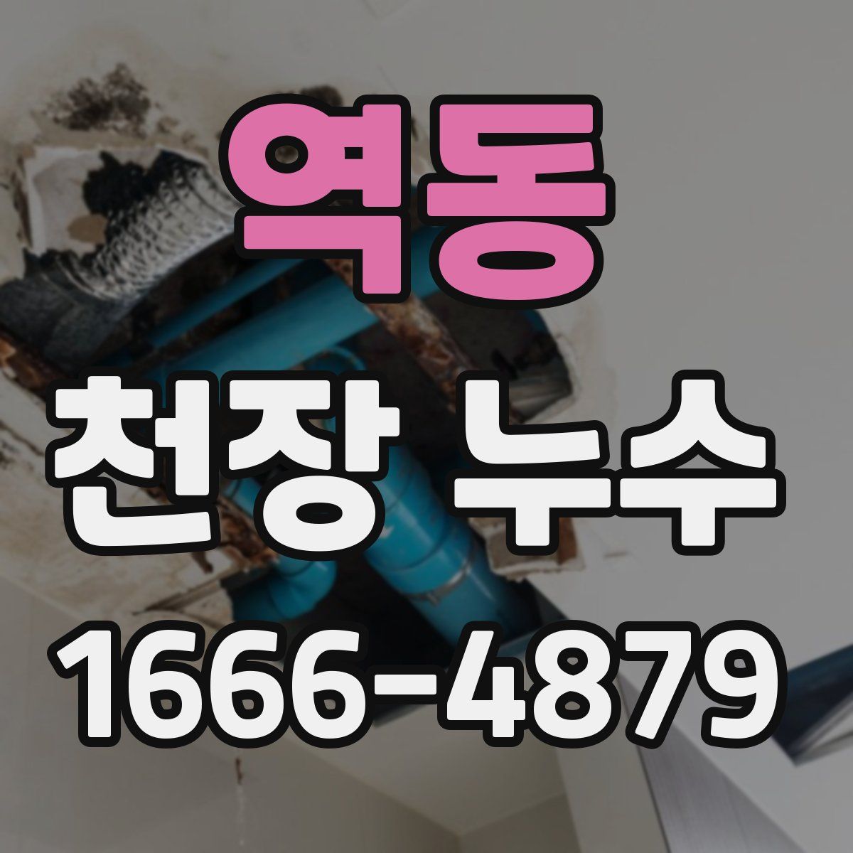 역동 천장 누수