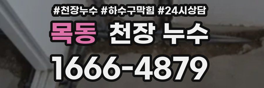 목동 천장 누수