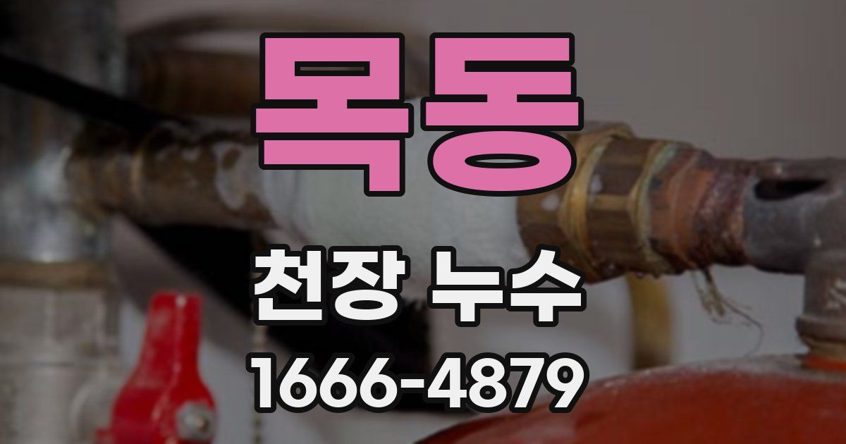 목동 천장 누수