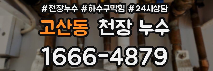 고산동 천장 누수