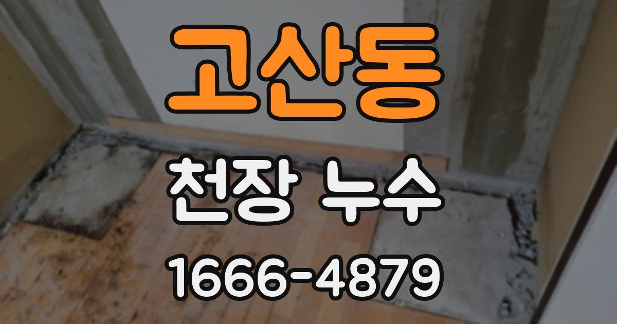 고산동 천장 누수