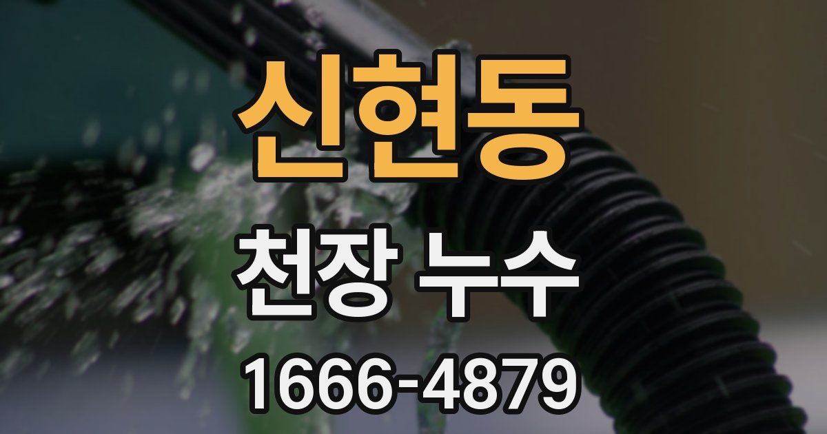 신현동 천장 누수