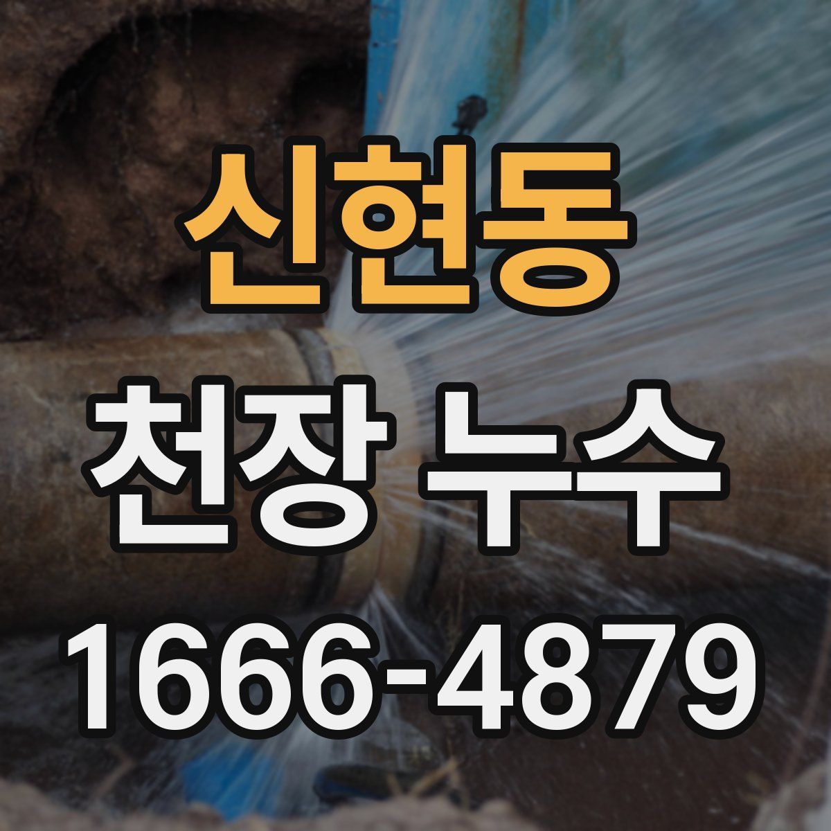 신현동 천장 누수