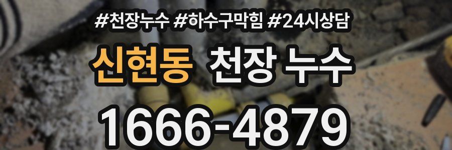 신현동 천장 누수