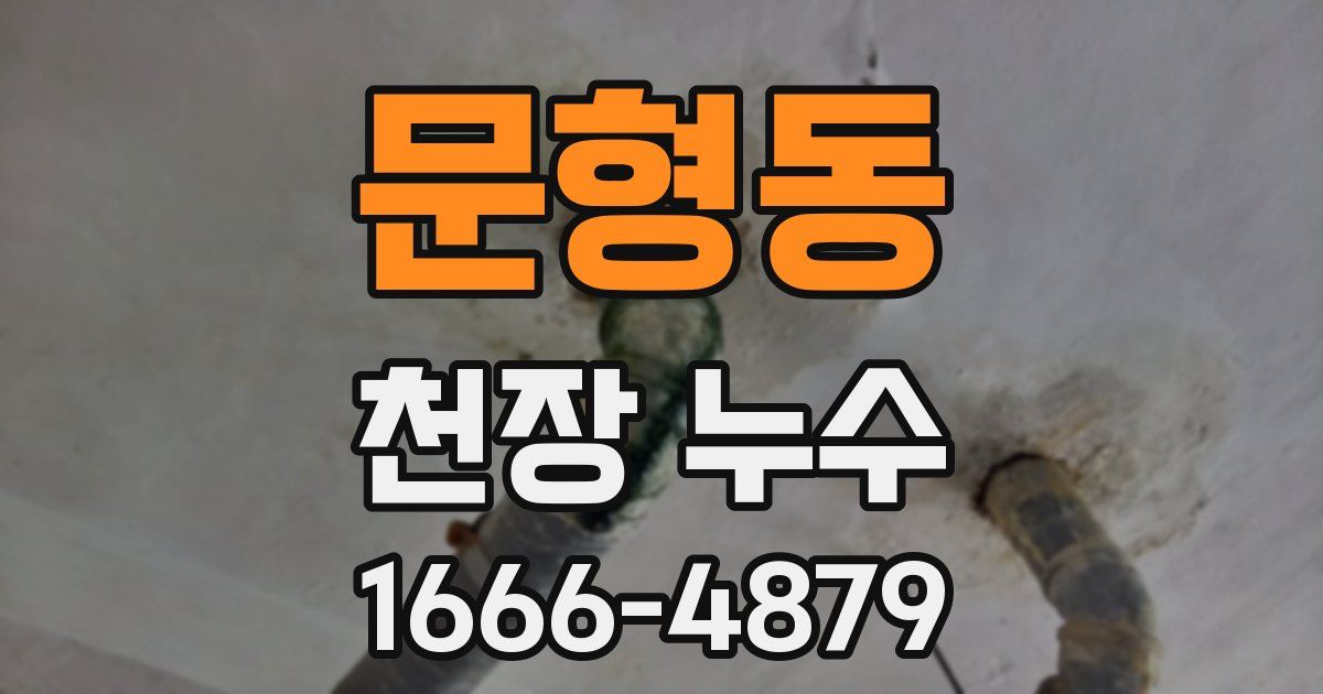 문형동 천장 누수