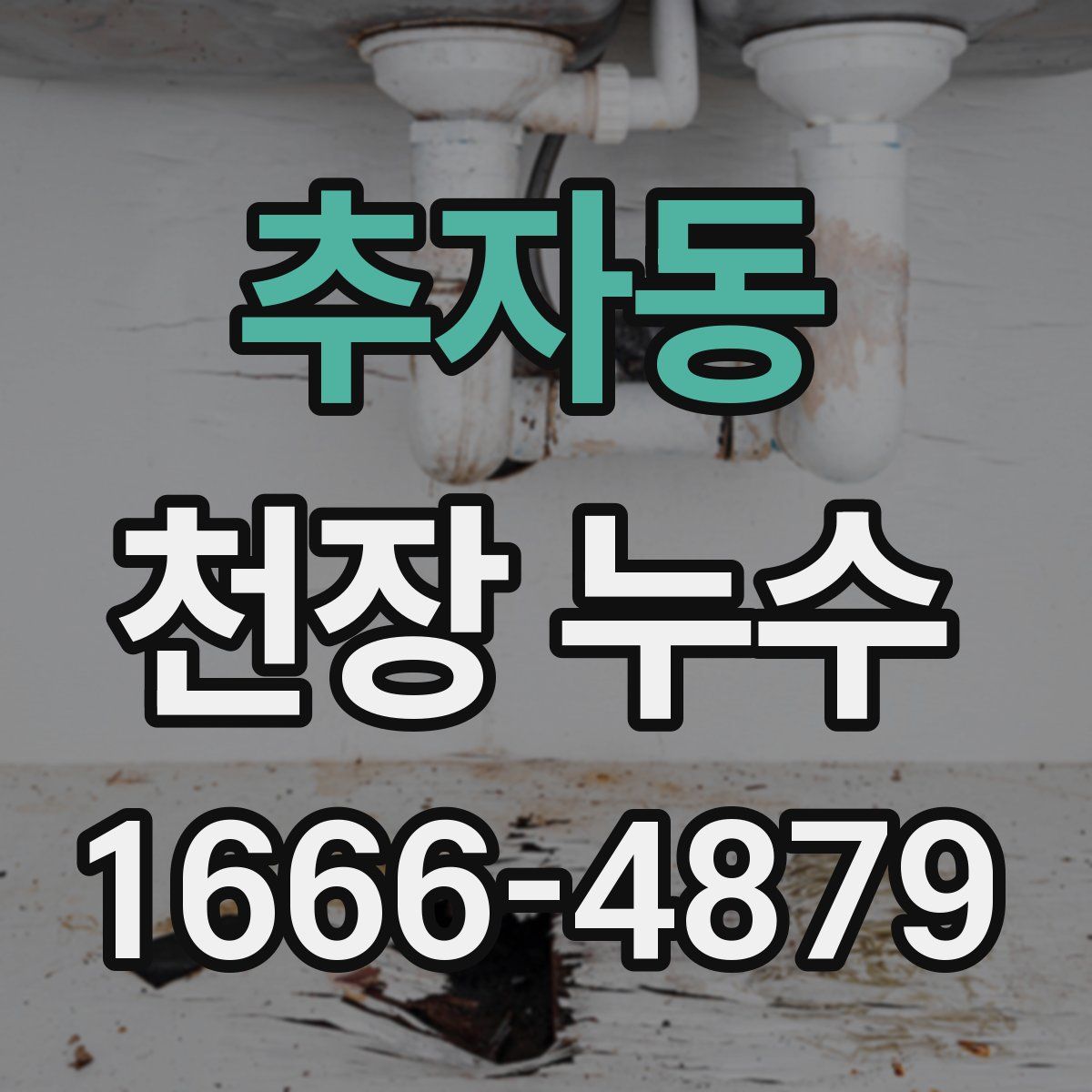 추자동 천장 누수