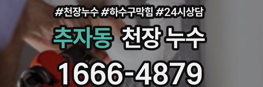 추자동 천장 누수