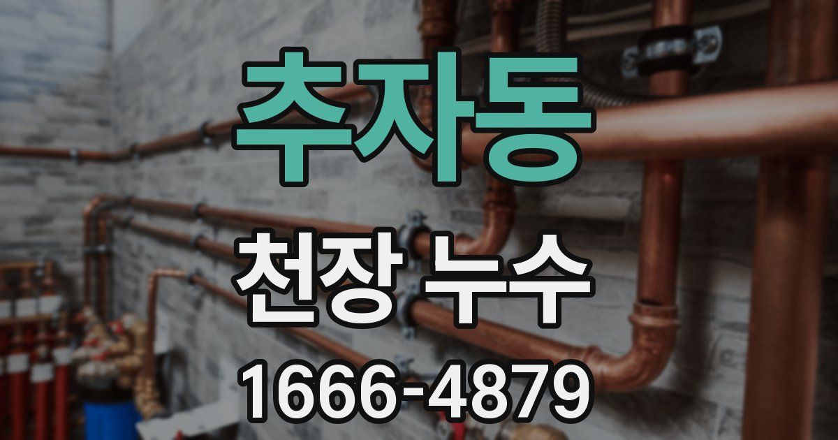 추자동 천장 누수