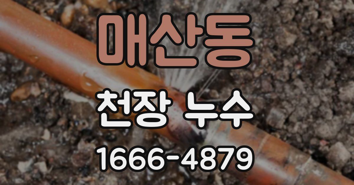 매산동 천장 누수