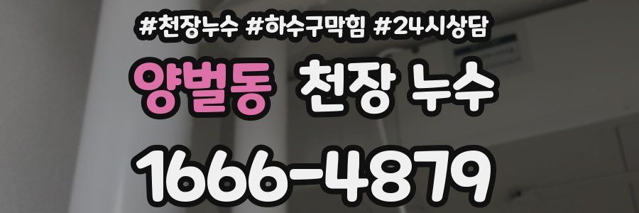 양벌동 천장 누수