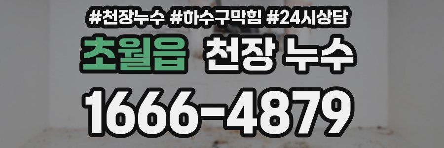 초월읍 천장 누수