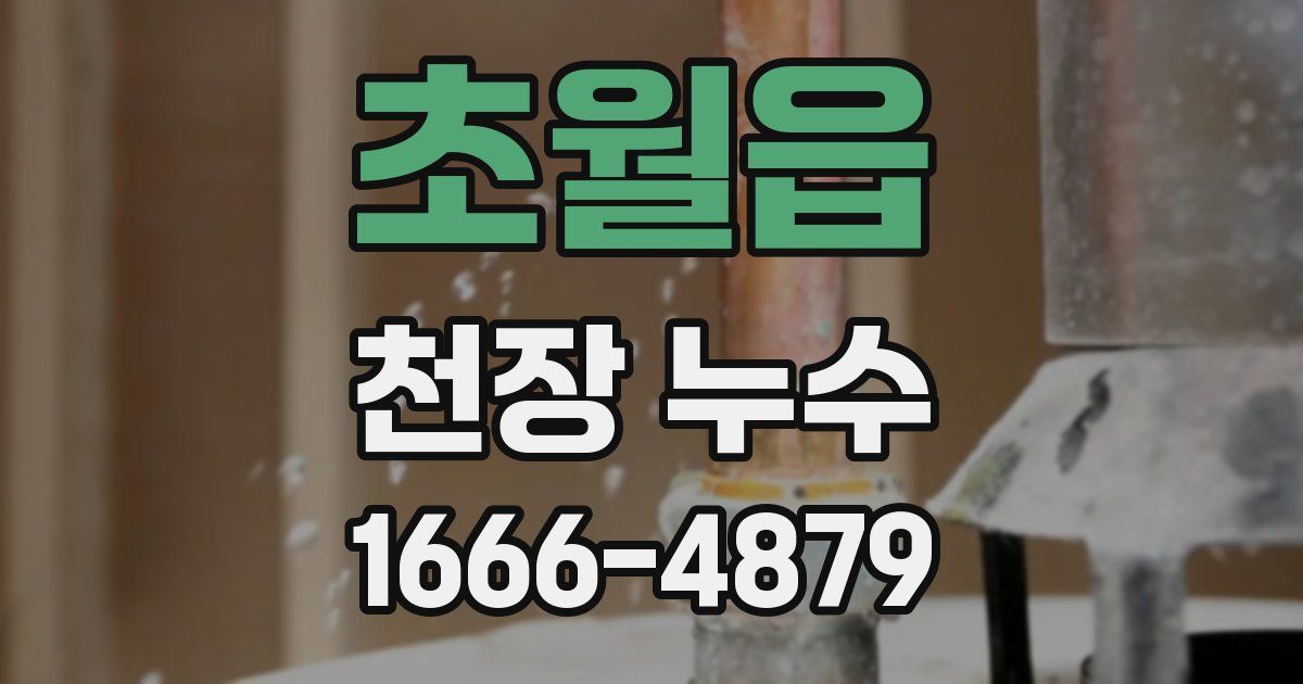 초월읍 천장 누수