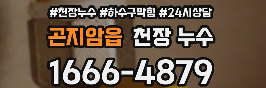 곤지암읍 천장 누수