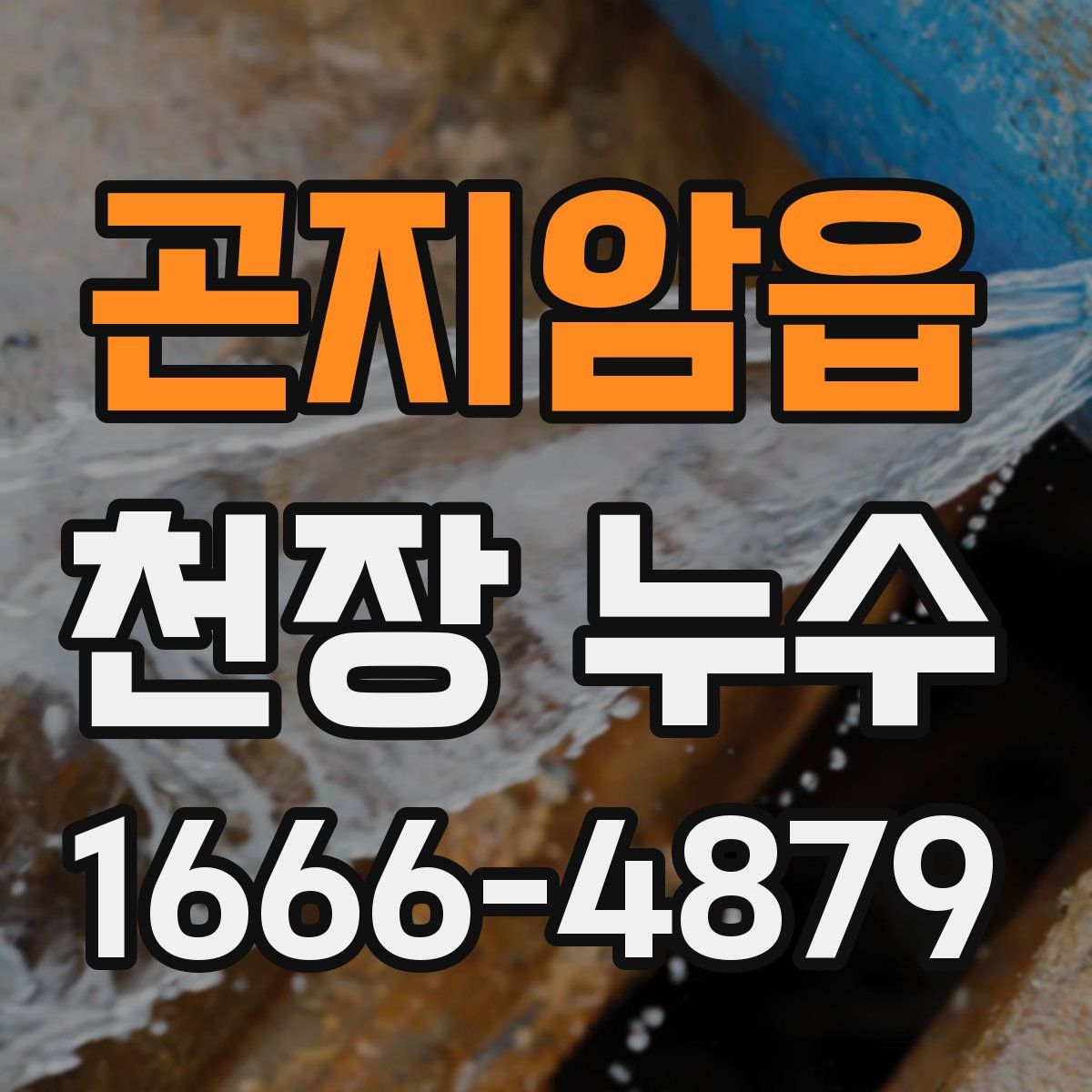 곤지암읍 천장 누수