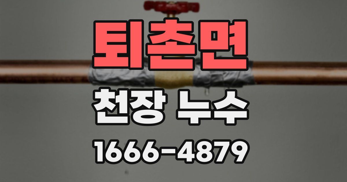 퇴촌면 천장 누수