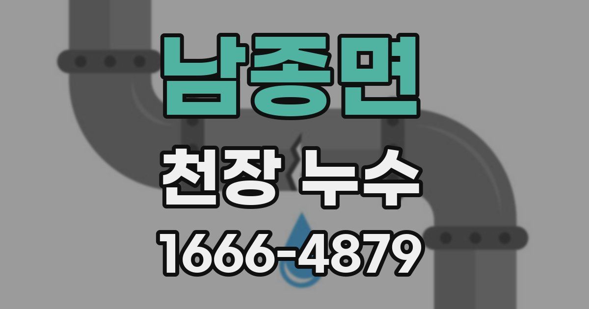 남종면 천장 누수