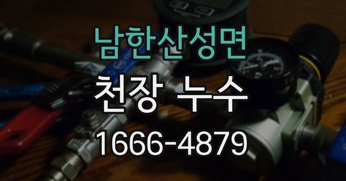 남한산성면 천장 누수