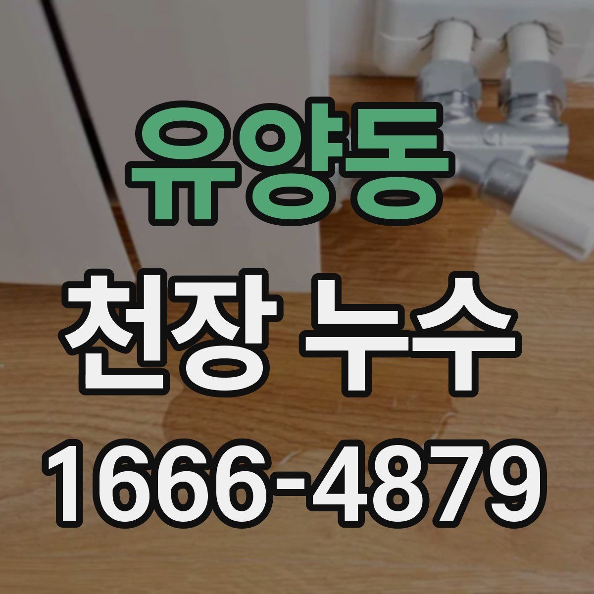 유양동 천장 누수 외벽 유입이 천장에 나타나는 경우
