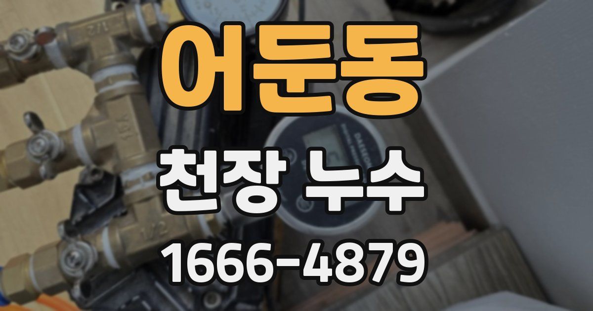 어둔동 천장 누수