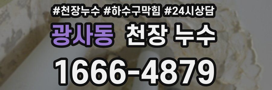 광사동 천장 누수