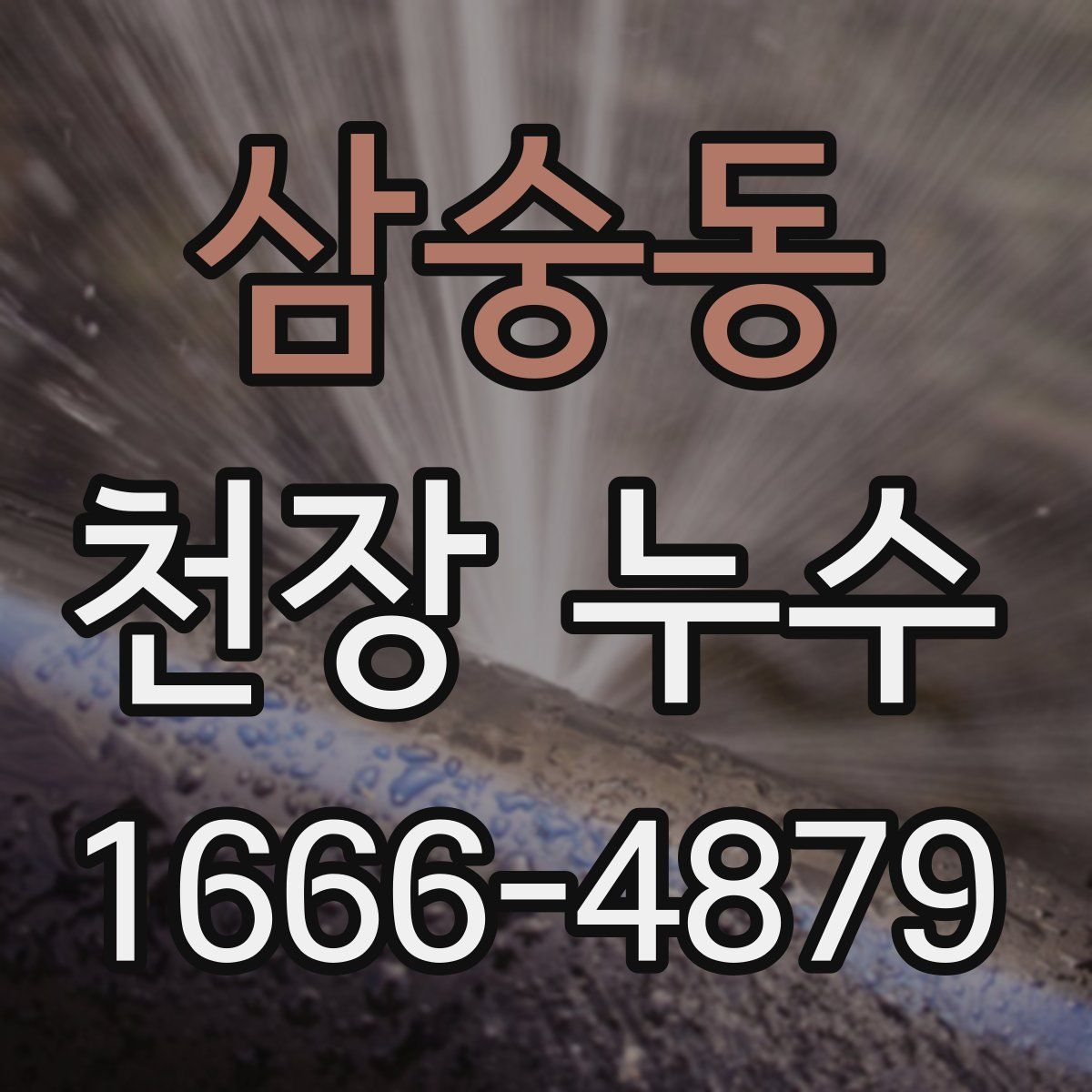 삼숭동 천장 누수