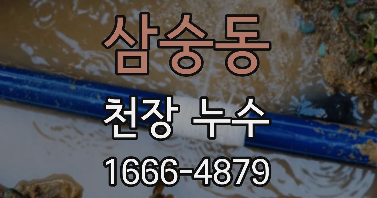 삼숭동 천장 누수