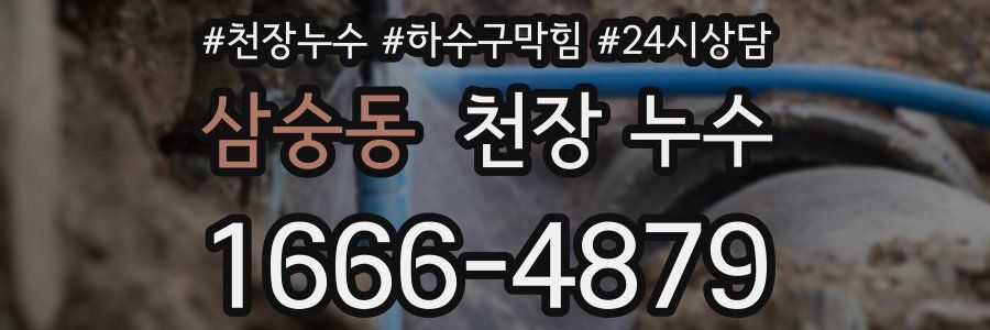 삼숭동 천장 누수