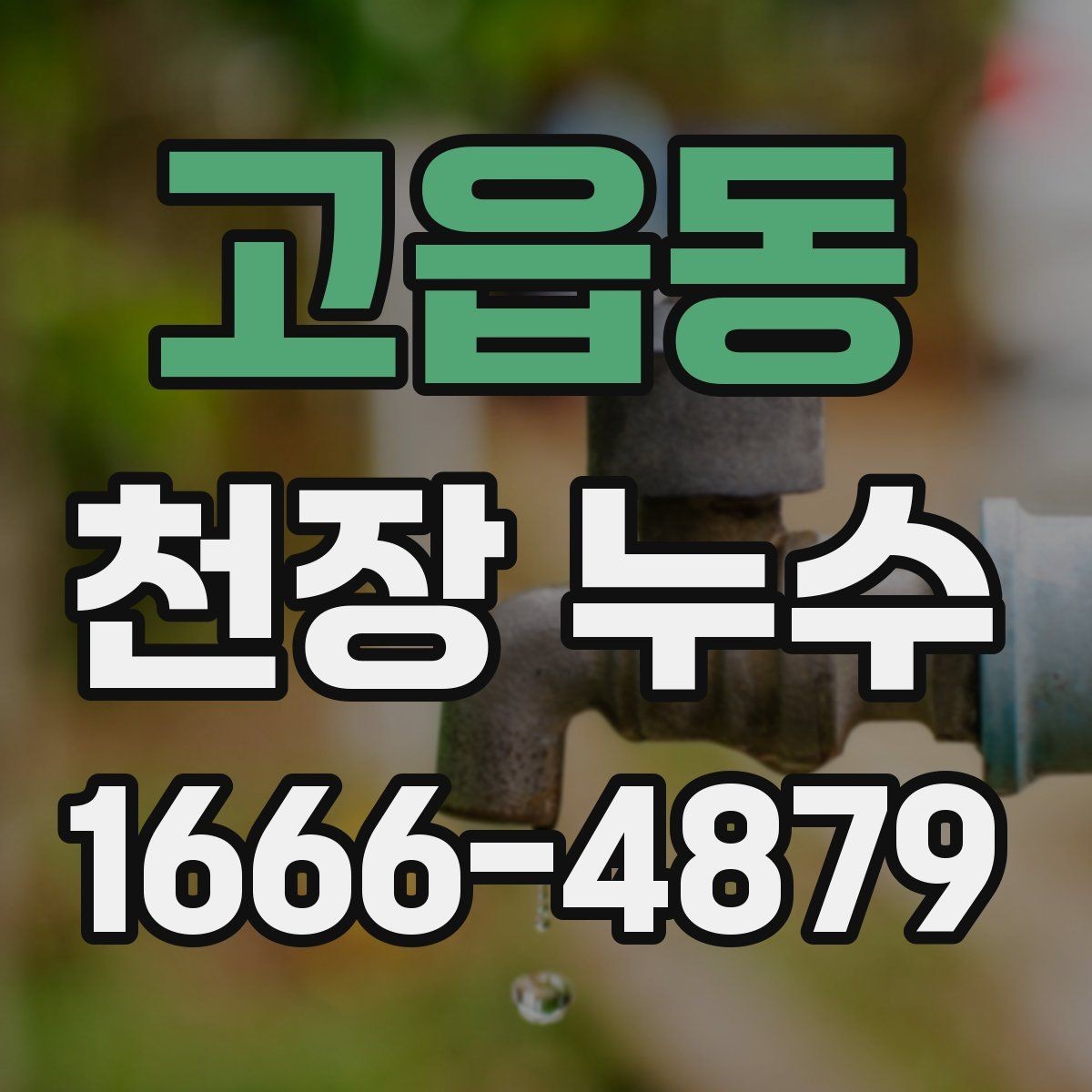 고읍동 천장 누수 벽과 천장 경계로 번지는 얼룩을 주의하세요