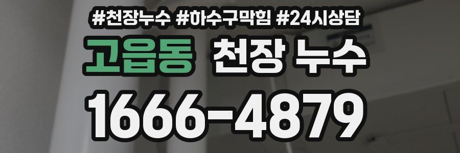 고읍동 천장 누수