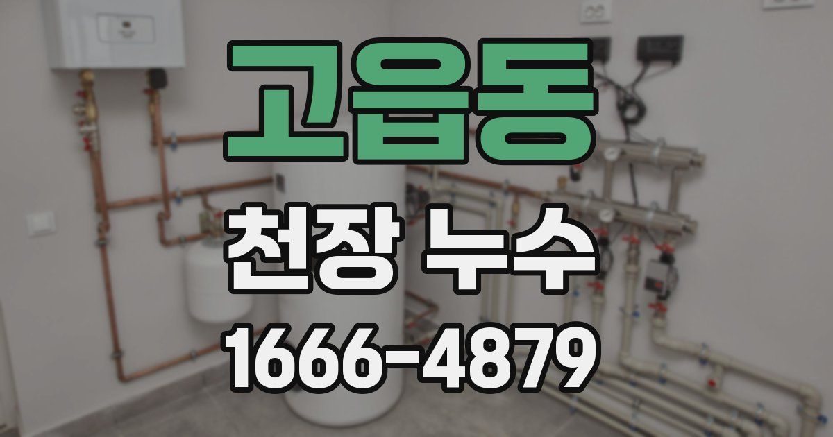 고읍동 천장 누수
