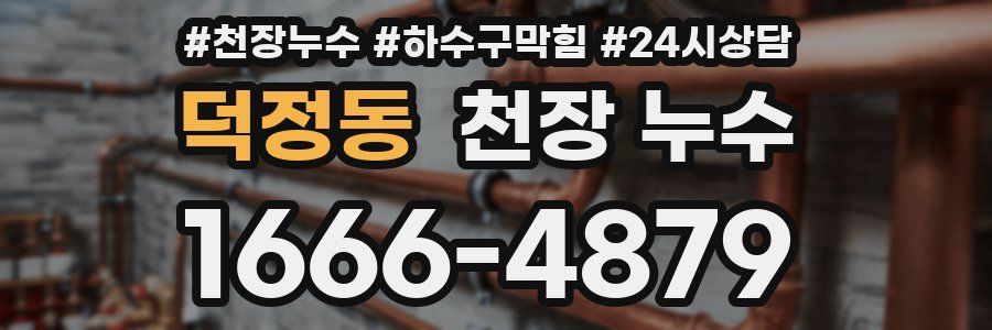 덕정동 천장 누수