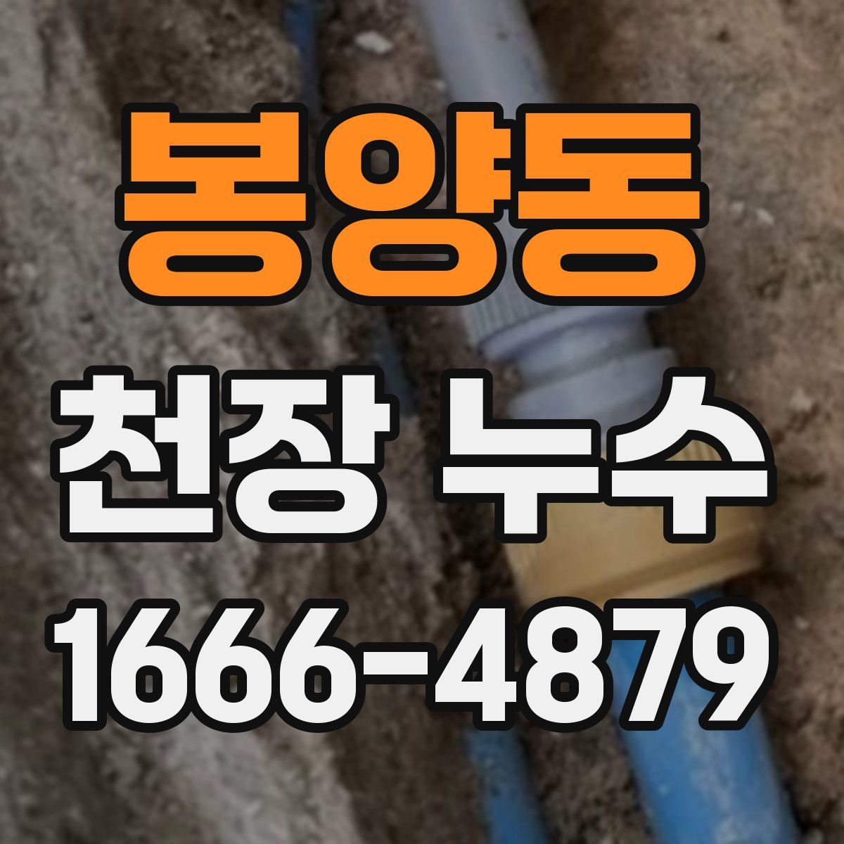 봉양동 천장 누수