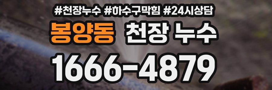 봉양동 천장 누수