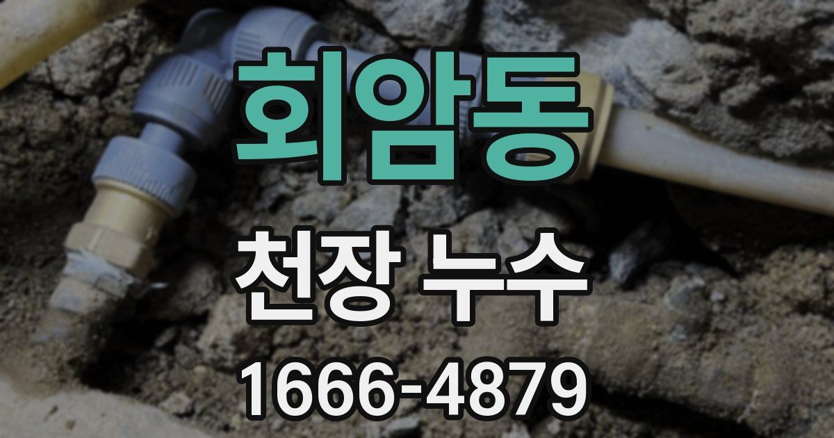 회암동 천장 누수