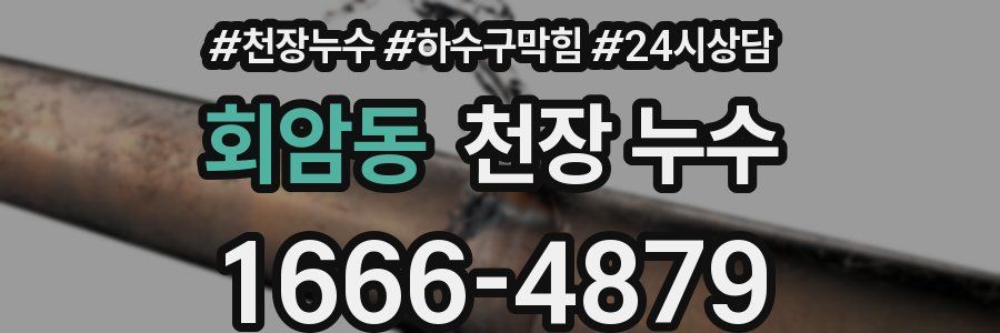 회암동 천장 누수