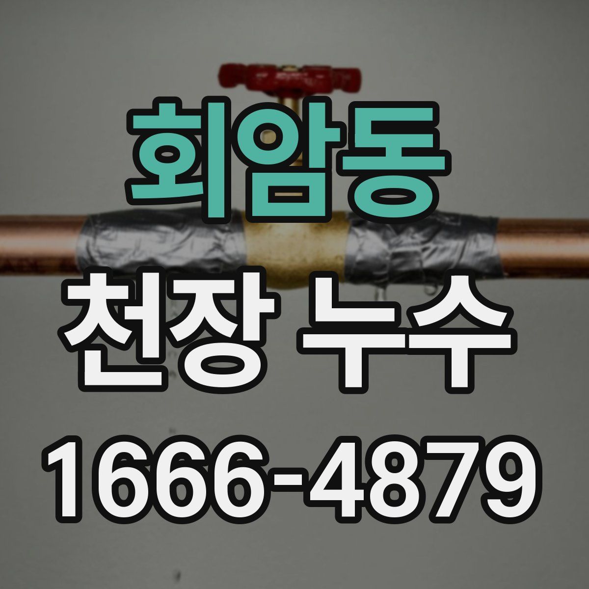 회암동 천장 누수