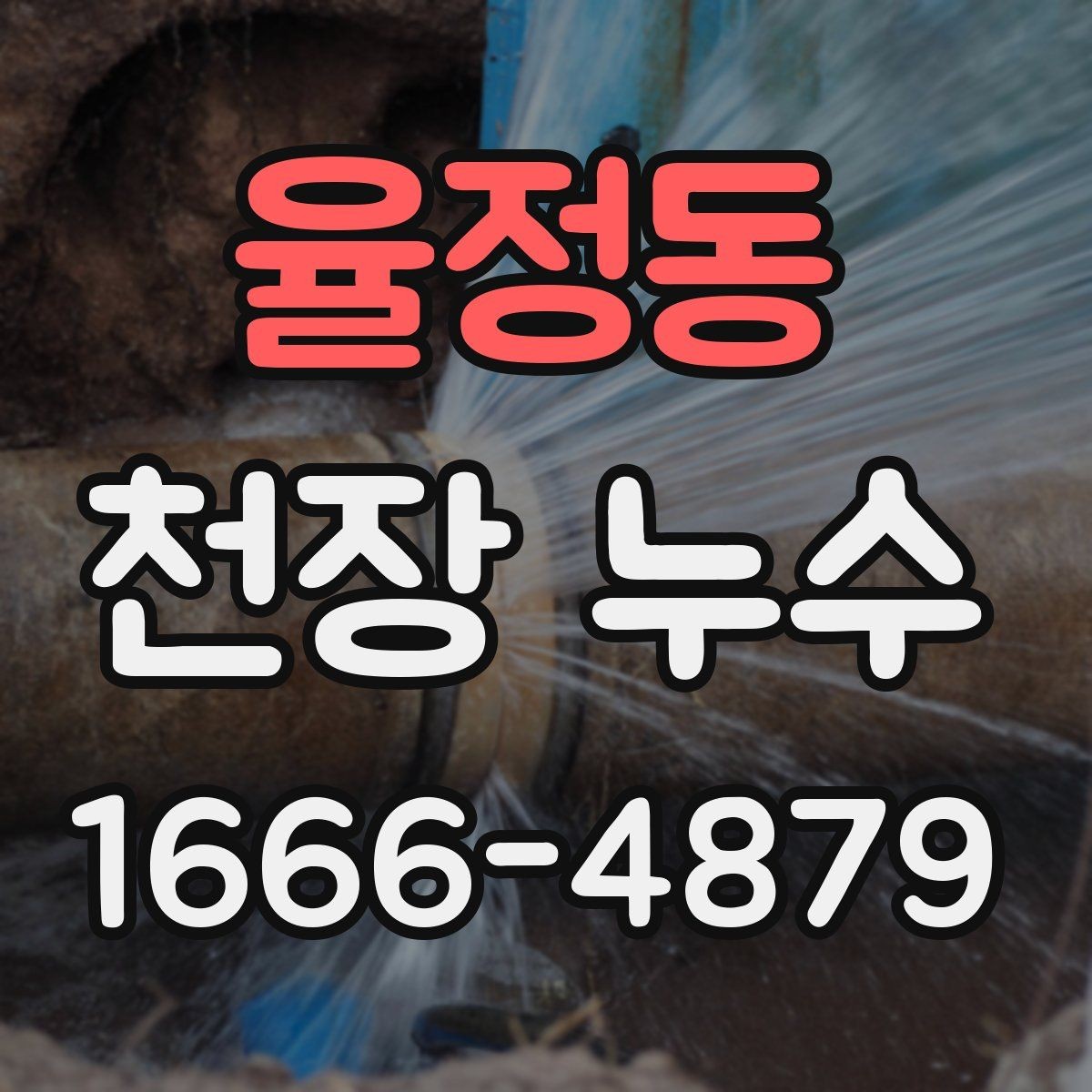 율정동 천장 누수 천장 중앙에 동그란 얼룩이 생기는 이유