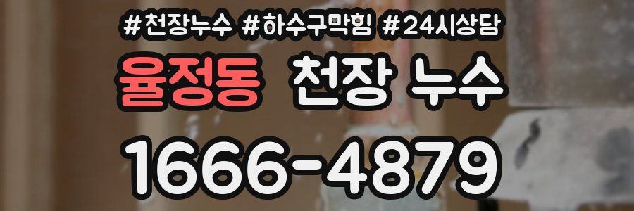 율정동 천장 누수