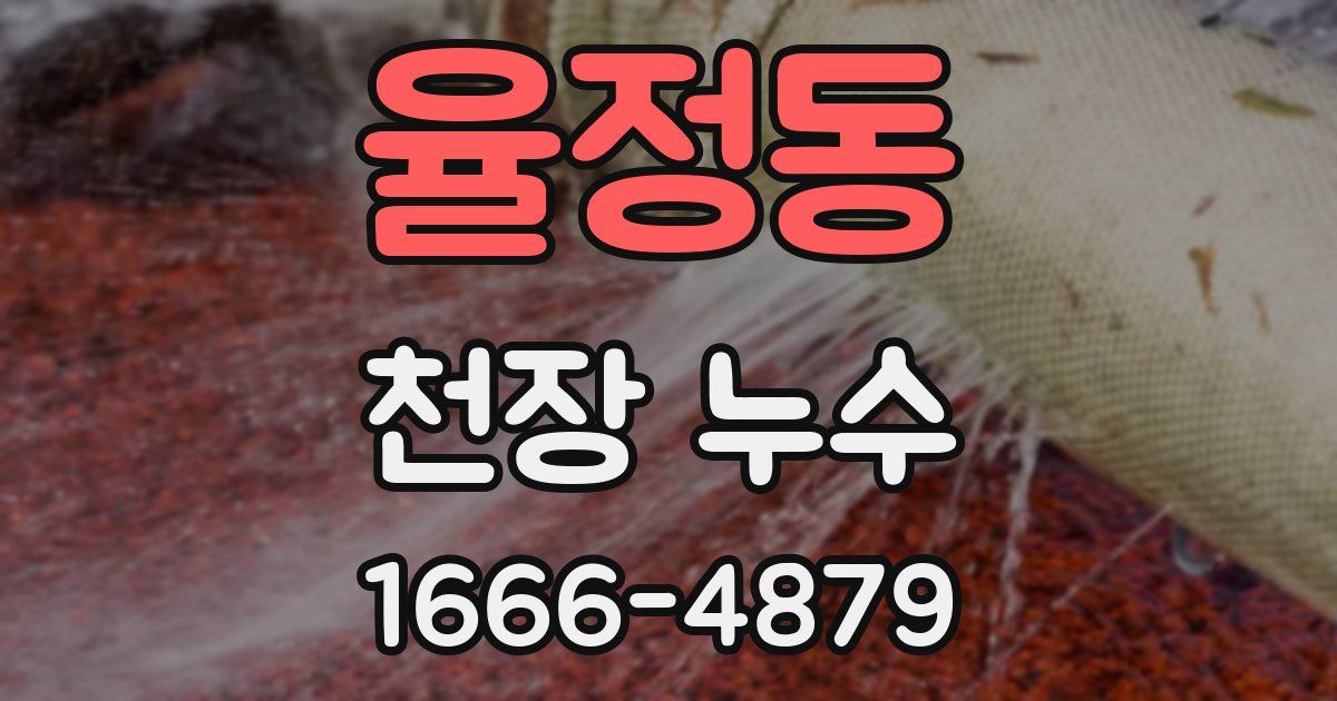 율정동 천장 누수