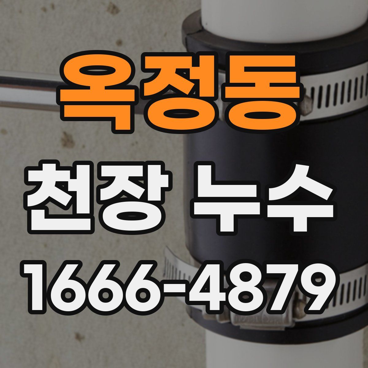 옥정동 천장 누수