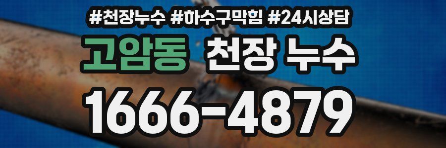 고암동 천장 누수