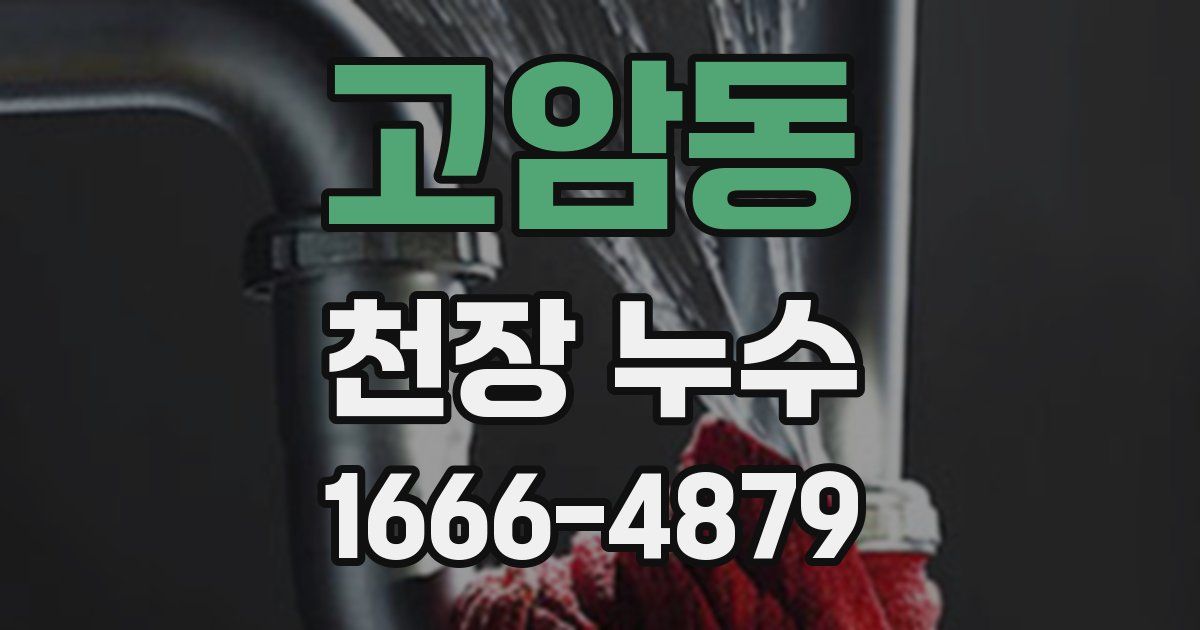 고암동 천장 누수